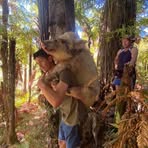 Brayden Sharp - Facebook