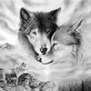Wolfie / Brayden Sharp - @wolfafied - TikTok