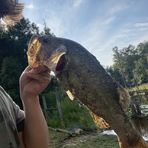 Brayden Shaw - Facebook