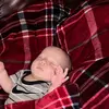 Brayden singleton - @brayden.singleton8 - TikTok