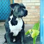 Brayden Stanton - @braydenstanton_420 - Instagram