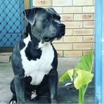 Brayden Stanton - Facebook