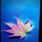 brayden stark - @brayden828 - Instagram