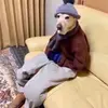 brayden stark - @brayden.stark - TikTok