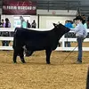 Brayden Armstrong307 - @braydenarmstrong31 - TikTok