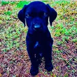 brayden - @braydensutherland17 - Instagram