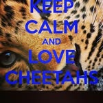 brayden_sutton_1111 - @suttonbrayden - Instagram