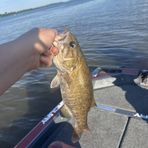 Brayden Terry - Facebook