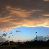 bv - @brayden.vance.83 - TikTok