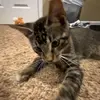 Brayden - @braydenwadee - TikTok