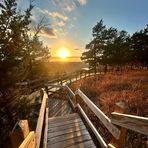 Brayden Wade - Facebook
