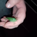 Brayden Wade - Facebook