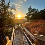 Brayden Wade - @braydenwade268 - Instagram