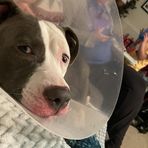 Brayden Wade - Facebook