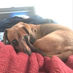 Brayden Walker - @brayden_walker980 - Instagram
