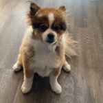 Brayden Wall - @brayden_wall - Instagram