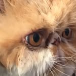 @brayden_ware_karkosky - Instagram