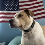 Brayden Weaver - Facebook