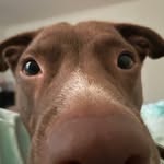 Brayden Weaver - @brayden_weaver21 - Instagram
