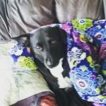 brayden weaver - @brayden647 - Instagram