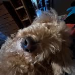 Brayden Weaver - Facebook