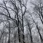 Brayden Weber - @brayden.weber.37 - Instagram