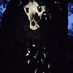 Braden Webster - Facebook