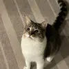 websterb29 - @brayden.webster29 - TikTok