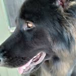 Brayden weeks - @bweeks9029 - Instagram