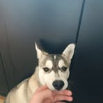 Brayden Weeks - Facebook