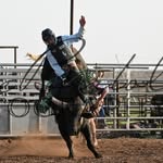 Brayden White - @braydenwhite56 - Instagram