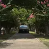 Brayden_White_88 - @brayden_white_88 - TikTok