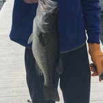 Brayden Willis - @bwfishin - Instagram