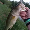 Brayden Wise - @brayden.wise6 - TikTok