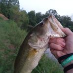 Brayden Wise - Facebook