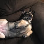 Brayden Wolfe - @bray_8080 - Instagram