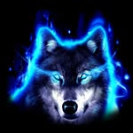BraydenWolfe - @braydenwolfe2972 - Instagram