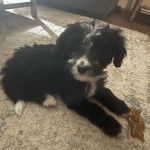 Brayden Yoder - @tanker0817_2 - Instagram