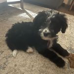 Brayden Yoder - @tanker0817 - Instagram