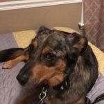 BRAYDENGAMEDAZ138439 - @brayden.yoder - Instagram