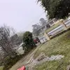 Braydon Collins - @braydoncollins8 - TikTok