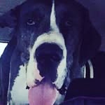 Braydon Hall - @braydon_hall.12 - Instagram
