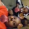 user braydon_king - @braydon_king - TikTok