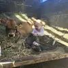 Braydon Smith - @braydon.smith2 - TikTok