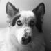 Braydon Thomas - Facebook