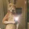 Braydon White - @pippyjoe134 - TikTok