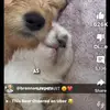 Braydon White - @braydon.white92 - TikTok