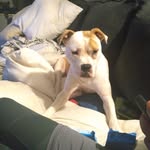 Braylan Thomas - @braylanthomas9 - Instagram