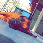 Breanna Edwards - @breanna_photography16 - Instagram