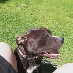 Breanna Harmon - @breannaharmon51 - Instagram